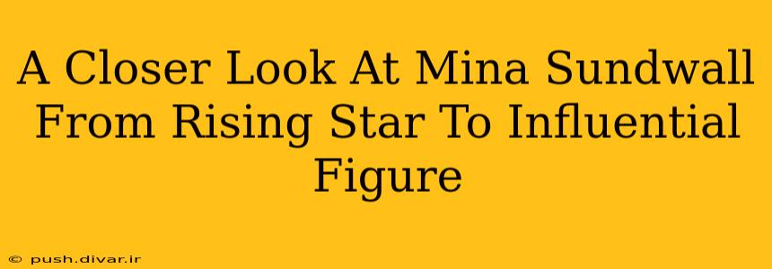 A Closer Look At Mina Sundwall From Rising Star To Influential Figure