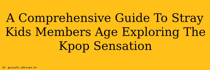 A Comprehensive Guide To Stray Kids Members Age Exploring The Kpop Sensation