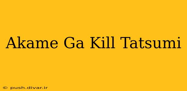 Akame Ga Kill Tatsumi