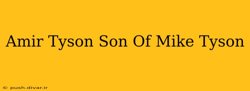 Amir Tyson Son Of Mike Tyson