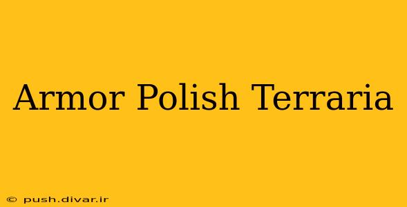 Armor Polish Terraria