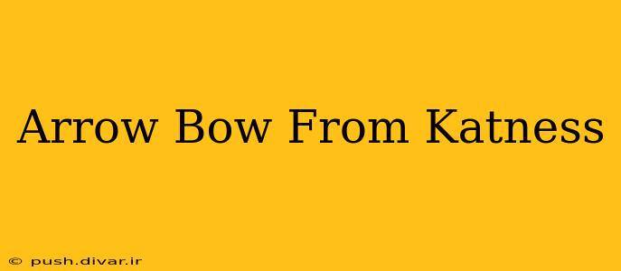 Arrow Bow From Katness