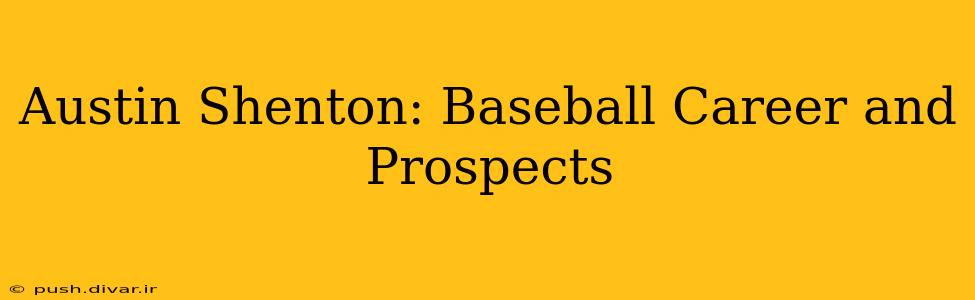 Austin Shenton: Baseball Career and Prospects
