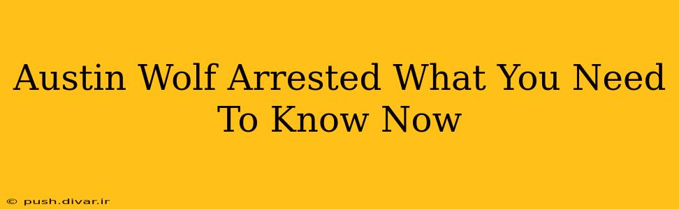 Austin Wolf Arrested What You Need To Know Now