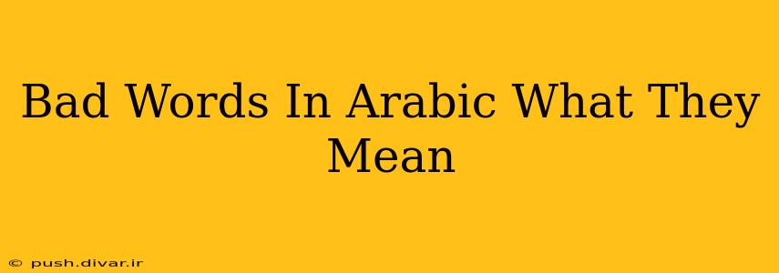Bad Words In Arabic What They Mean