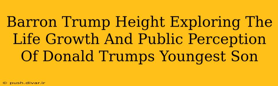 Barron Trump Height Exploring The Life Growth And Public Perception Of Donald Trumps Youngest Son