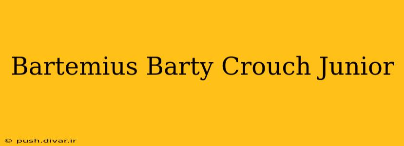 Bartemius Barty Crouch Junior