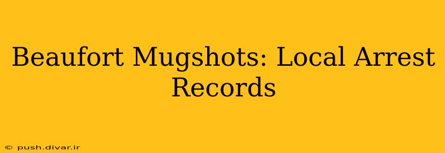 Beaufort Mugshots: Local Arrest Records