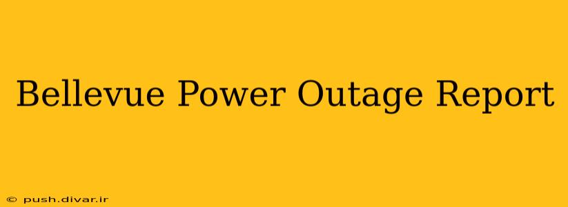 Bellevue Power Outage Report