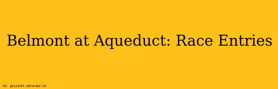Belmont at Aqueduct: Race Entries