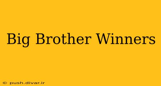 Big Brother Winners