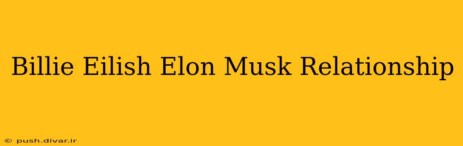 Billie Eilish Elon Musk Relationship