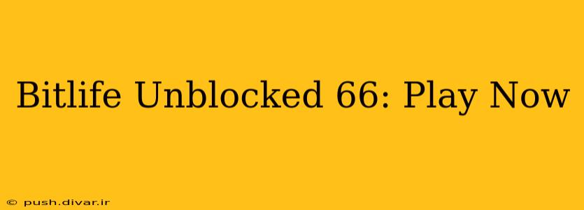 Bitlife Unblocked 66: Play Now