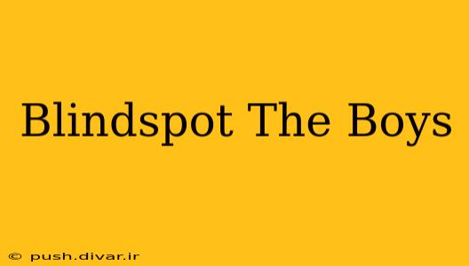 Blindspot The Boys