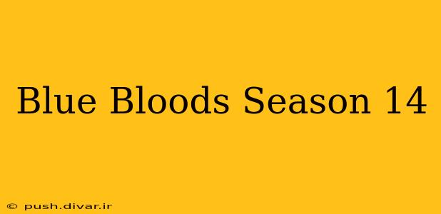 Blue Bloods Season 14