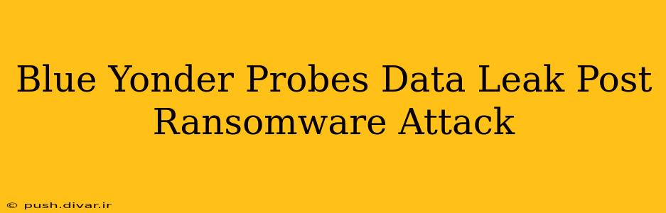 Blue Yonder Probes Data Leak Post Ransomware Attack