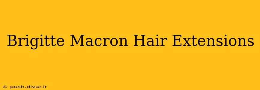 Brigitte Macron Hair Extensions