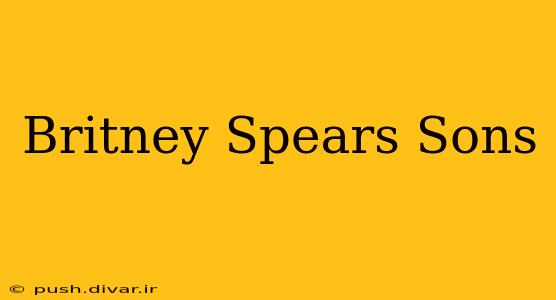 Britney Spears Sons