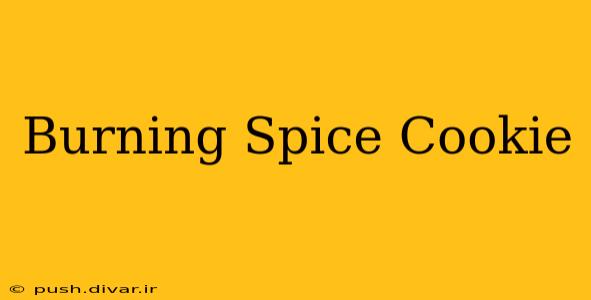 Burning Spice Cookie