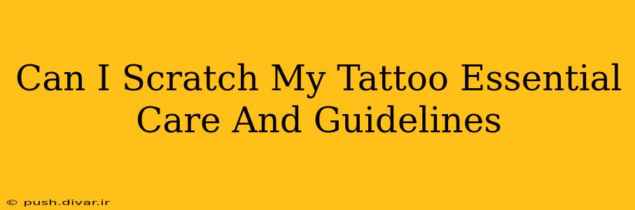 Can I Scratch My Tattoo Essential Care And Guidelines