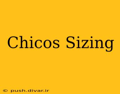 Chicos Sizing