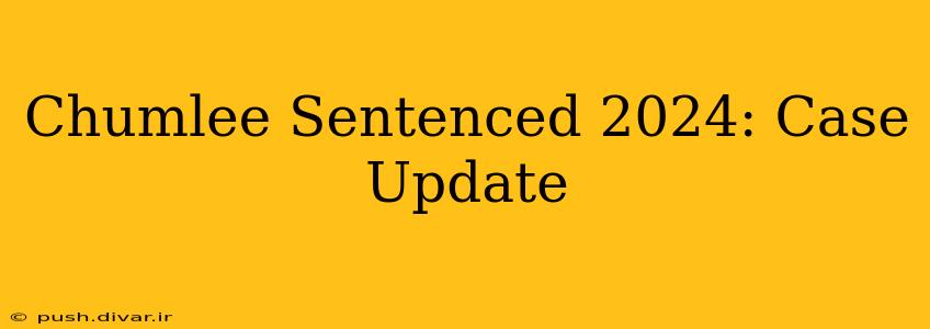 Chumlee Sentenced 2024: Case Update