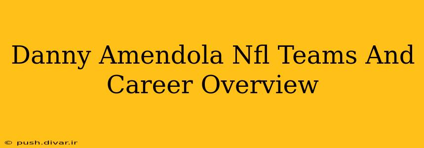 Danny Amendola Nfl Teams And Career Overview