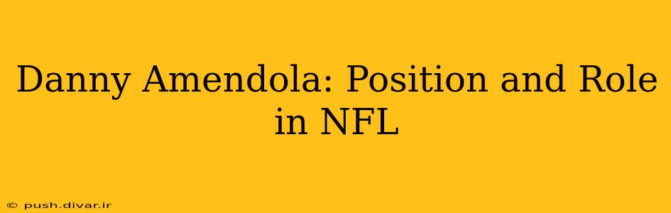 Danny Amendola: Position and Role in NFL