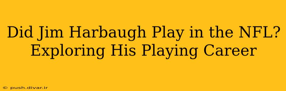 Did Jim Harbaugh Play in the NFL? Exploring His Playing Career