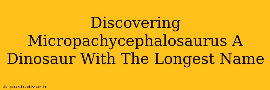 Discovering Micropachycephalosaurus A Dinosaur With The Longest Name