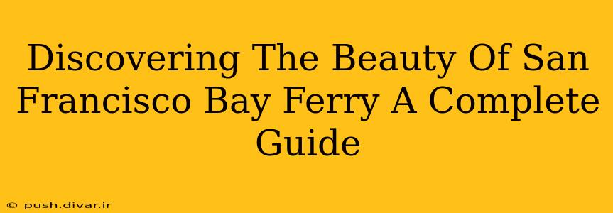 Discovering The Beauty Of San Francisco Bay Ferry A Complete Guide