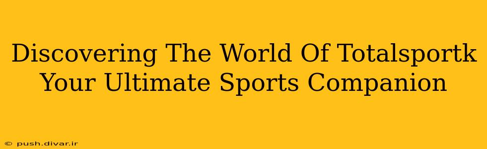 Discovering The World Of Totalsportk Your Ultimate Sports Companion