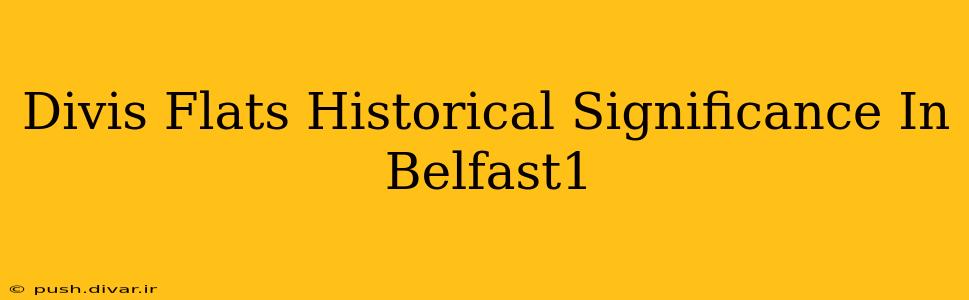 Divis Flats Historical Significance In Belfast1