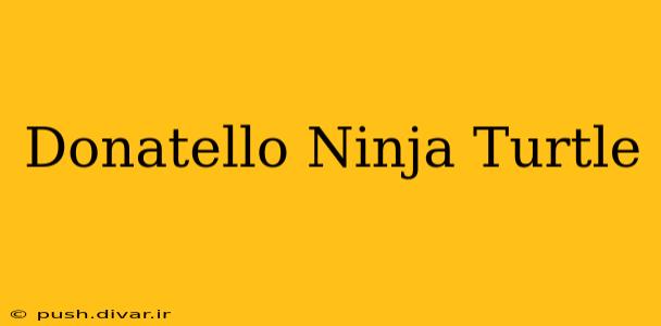 Donatello Ninja Turtle