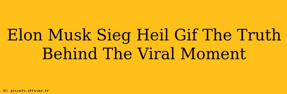 Elon Musk Sieg Heil Gif The Truth Behind The Viral Moment