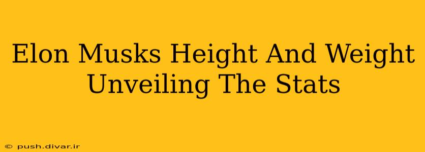 Elon Musks Height And Weight Unveiling The Stats