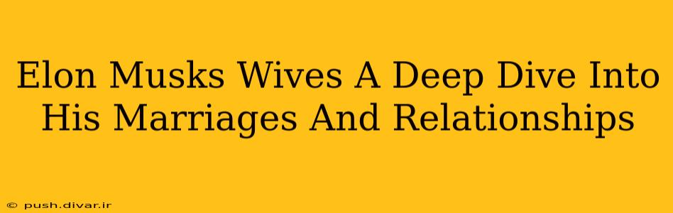 Elon Musks Wives A Deep Dive Into His Marriages And Relationships