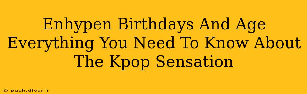 Enhypen Birthdays And Age Everything You Need To Know About The Kpop Sensation