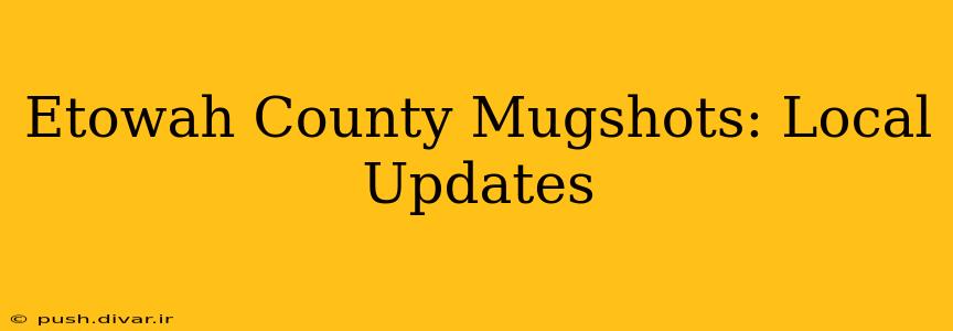 Etowah County Mugshots: Local Updates