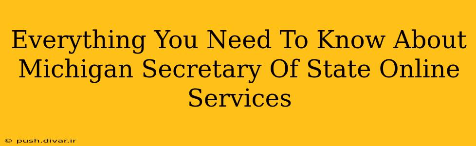 Everything You Need To Know About Michigan Secretary Of State Online Services