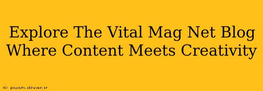 Explore The Vital Mag Net Blog Where Content Meets Creativity