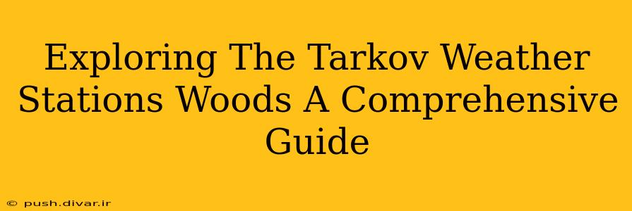 Exploring The Tarkov Weather Stations Woods A Comprehensive Guide