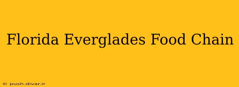 Florida Everglades Food Chain