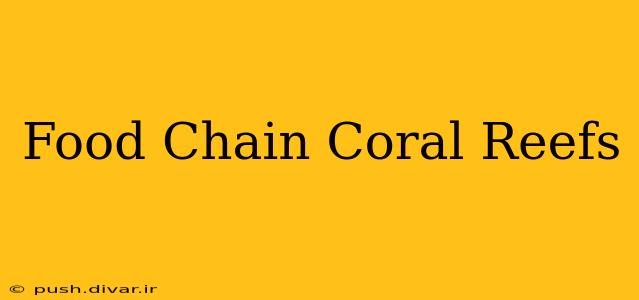Food Chain Coral Reefs