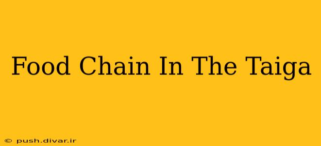 Food Chain In The Taiga