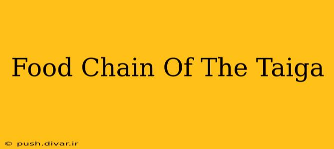 Food Chain Of The Taiga