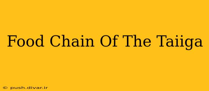 Food Chain Of The Taiiga