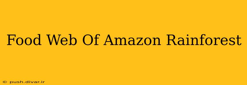 Food Web Of Amazon Rainforest