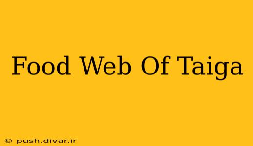 Food Web Of Taiga