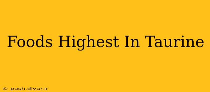 Foods Highest In Taurine